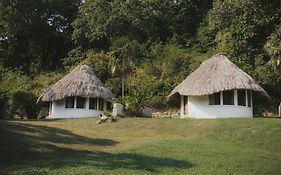 Jade Jungle Resort